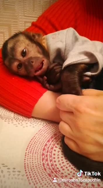 Мирон в гостях