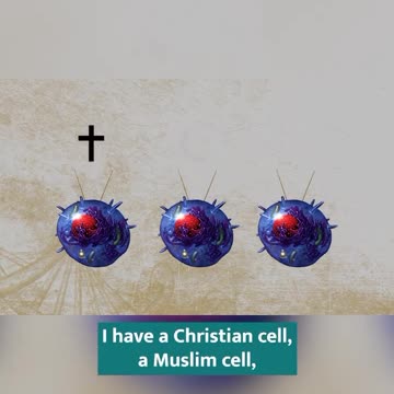 The cells are... hmmmm 🤷‍♀🤷‍♀️🤷‍♀️