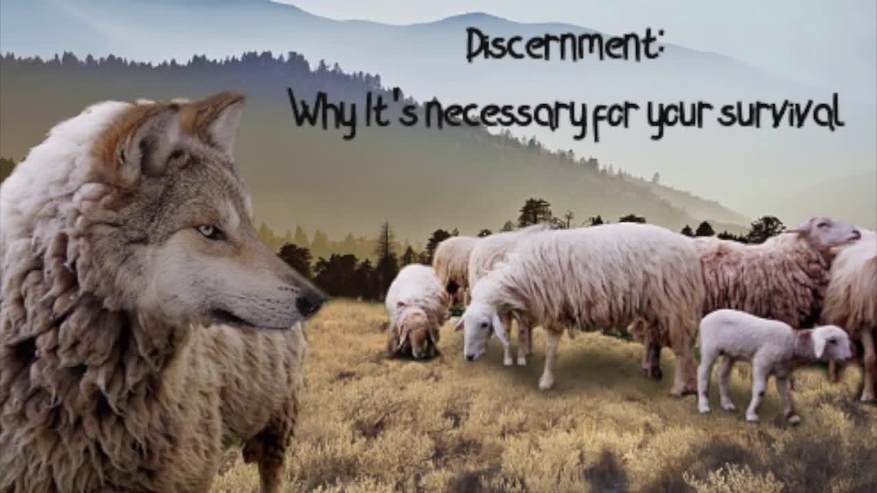 What Is Discernment_ Why It's Necessary For Your Survival