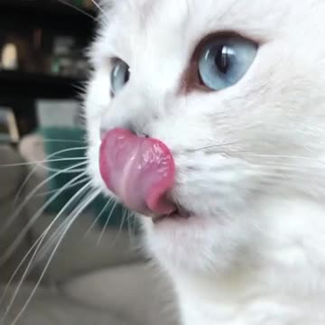 Next time don’t call the exterminator. Call me.