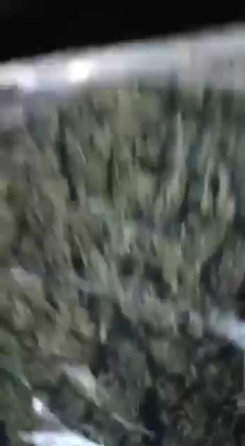 Robbin’ the hoods: Group film themselves mugging ‘sturvy merts’