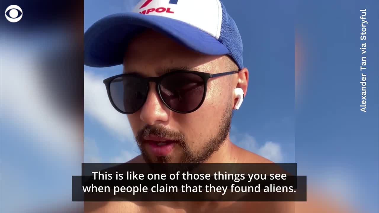 Mysterious animal corpse surfaces on beach in Queensland, Australia