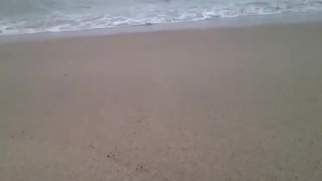 Filmando as ondas do mar, em um dia de sol [Nature & Animals]