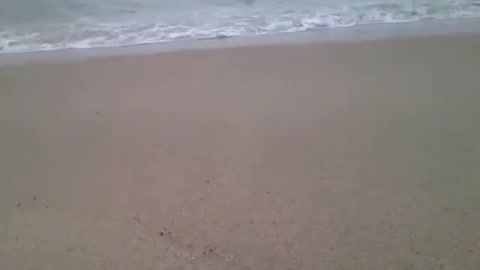 Filmando as ondas do mar, em um dia de sol [Nature & Animals]