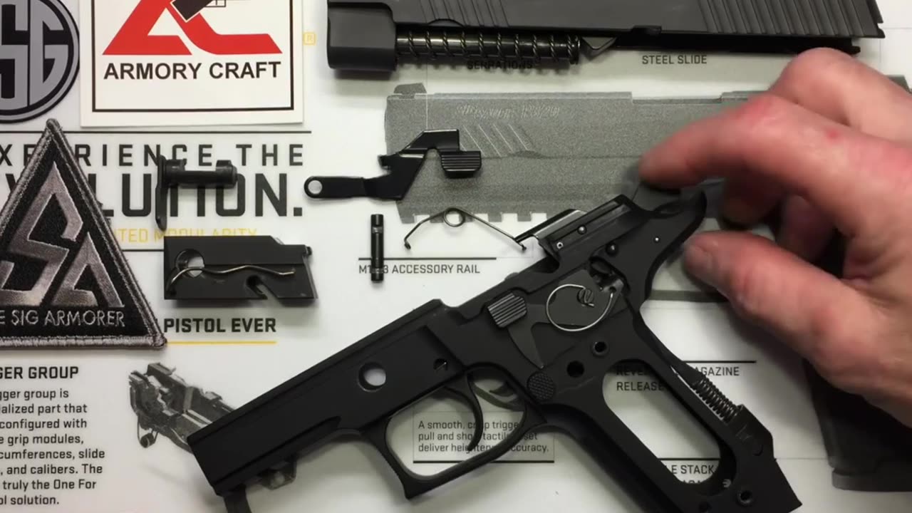 Sig Sauer P226 disassembly