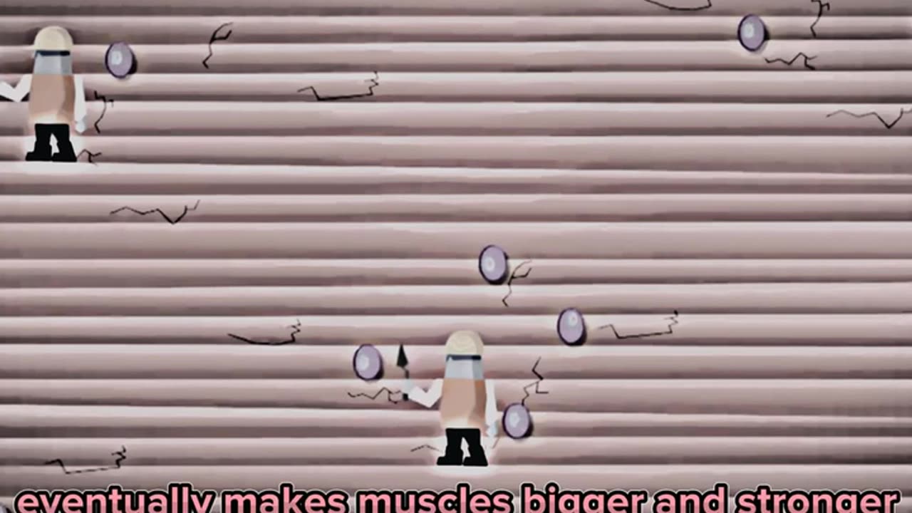 Why You Need to Build Muscle?