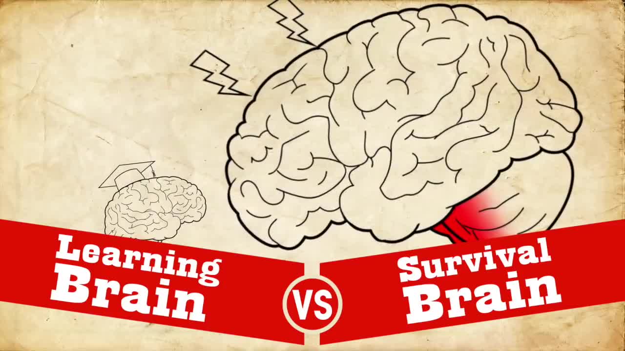 Understanding Trauma: Learning Brain VSs Survival Brain