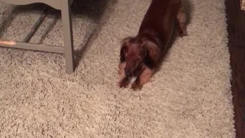 Stretching & yawning