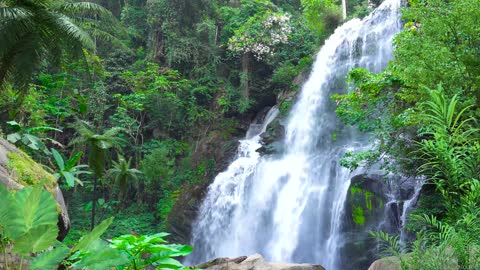 Música Zen e Natureza