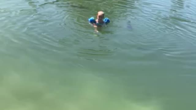 Mr Rhett Swimming in the Backyard Aquarium