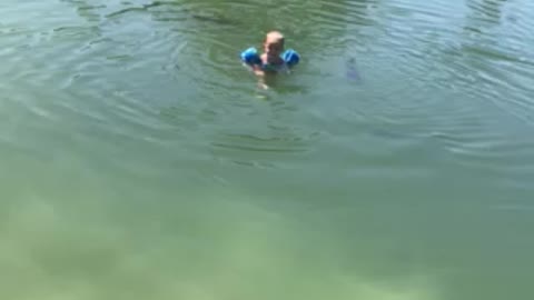 Mr Rhett Swimming in the Backyard Aquarium