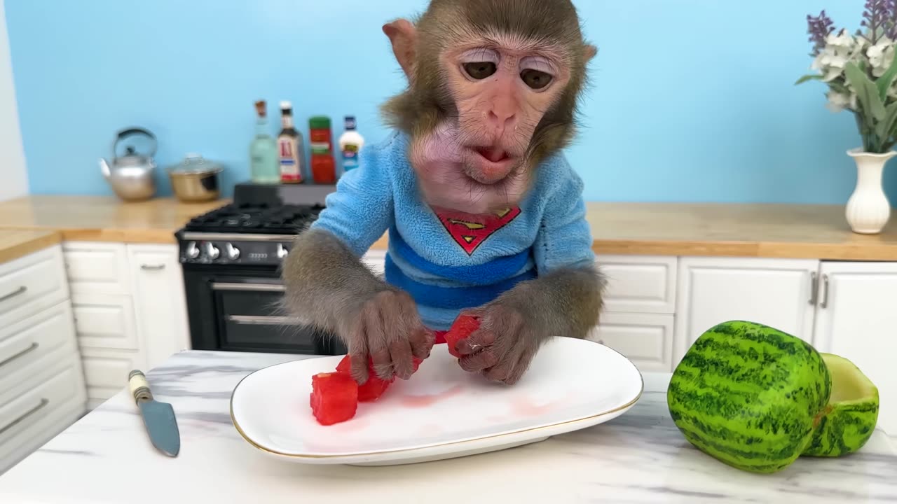 Monkey Baby Bon Bon Bathing in the Pool And Eat Square Watermelon With Ducklings In The Dining Room