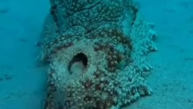 This is how "SAND" is MADE