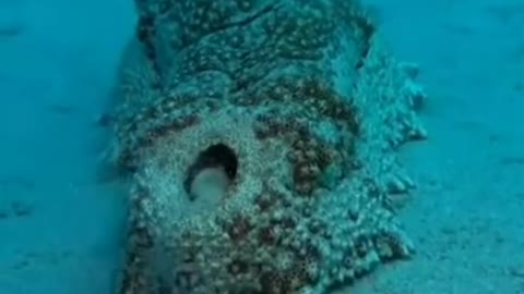 This is how "SAND" is MADE