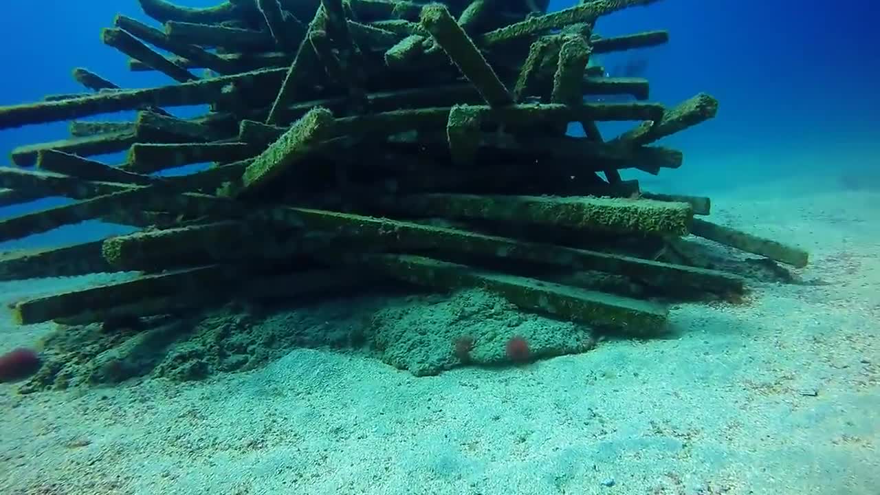 Museo Atlantico, Lanzarote - Feb 2017-14