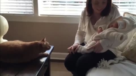 Cat afraid with baby