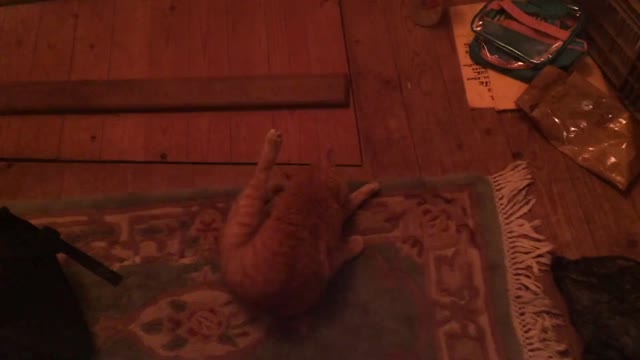 2021-04-10 (3) - Etat de la barraque après 2 ans d'absence - Youtube