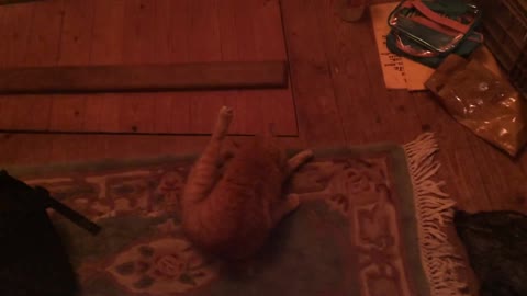 2021-04-10 (3) - Etat de la barraque après 2 ans d'absence - Youtube