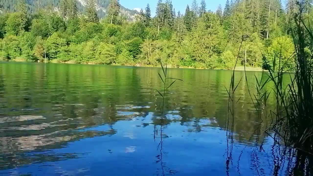 Stress Relief Music - Relaxe on the Lake - Meditation with Lake View