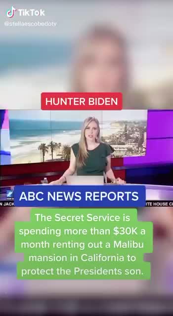 More on hunter biden