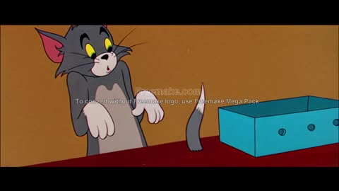 TOM and JERRY Cartoon