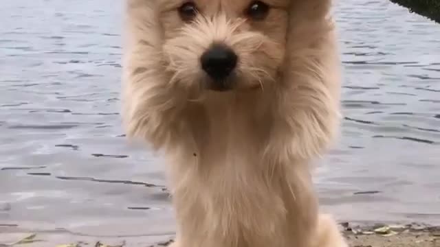 The most adorable thing you’ll see today ☺️