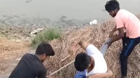Most dangerous sanke#snake