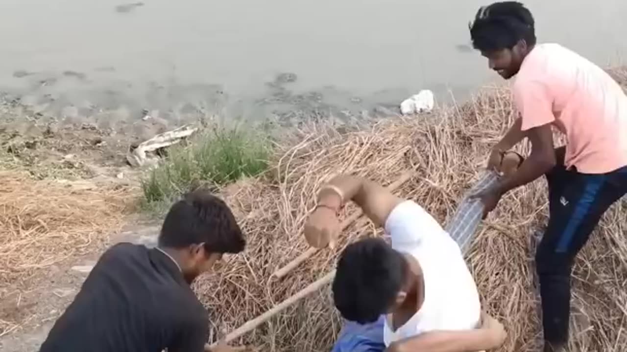 Most dangerous sanke#snake