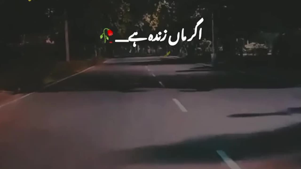 Best lines