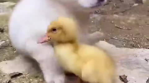 The sweetest friendship! 🤗🤗