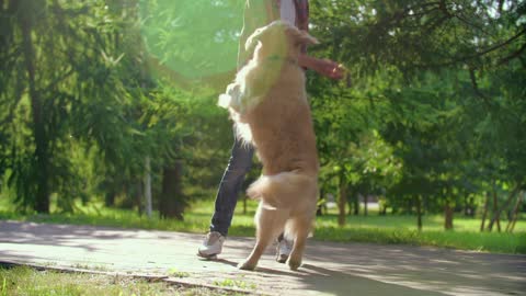 Boy playing with his dog