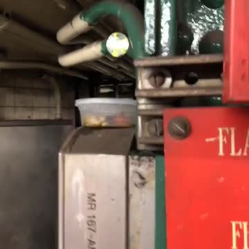 Food container with tentacle