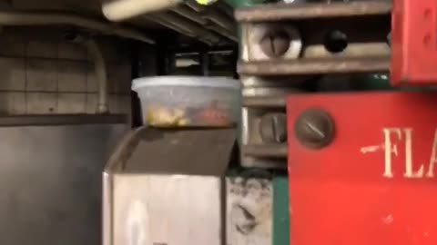 Food container with tentacle