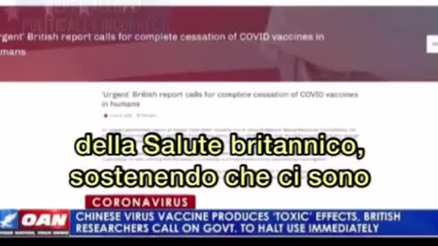 Rapporto urgente in UK chiede l'immediata cessazione dei va((ini covid perché tossici