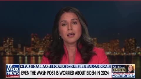 Tulsi Gabbard REVEALS the propaganda coming from the Democratic Party elite