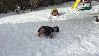 Snow Pushups