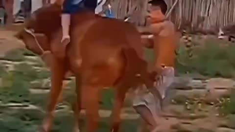 Funny Fails __ Funny Video -- _funny _viral _funnyfails _shorts _tiktok(720P_HD)