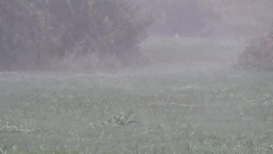 Sleep instantly with heavy rain and powerful thunder sounds covering a field