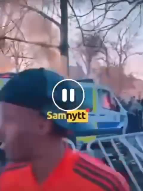 Sweden copes well with mass immigration