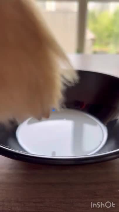 8.diy dish soap experiment. #shorts