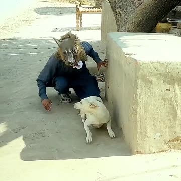 Prank with dog animal funny video 2024 #shorts #viral