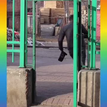 Smart and Funny Dogs Videos Compilation 2021_ |08|_#shorts​ Cats 🐈 or Dogs 🐕 ??