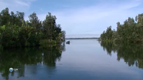 Boating on a tropical river