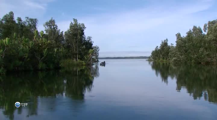 Boating on a tropical river