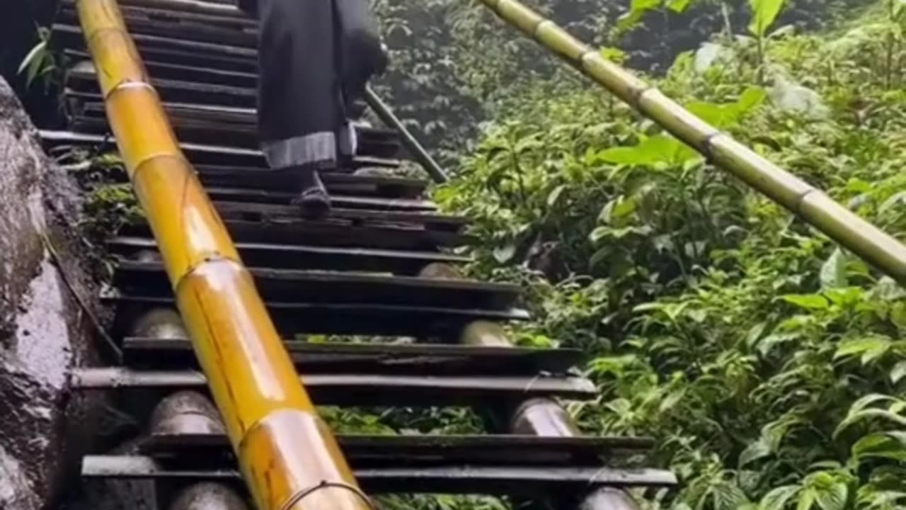 Guy slips on bamboo stairs while carrying a drink—nature strikes back! 🌿😂 #FunnyFails