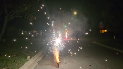 MAGA Celebration