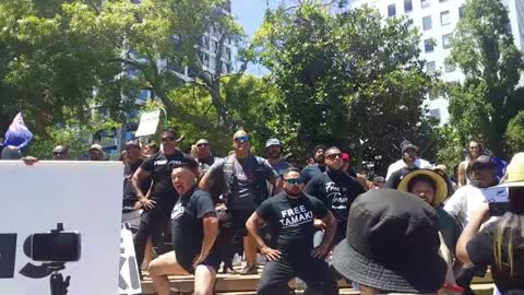 Protest in Auckland finishes with loud haka....