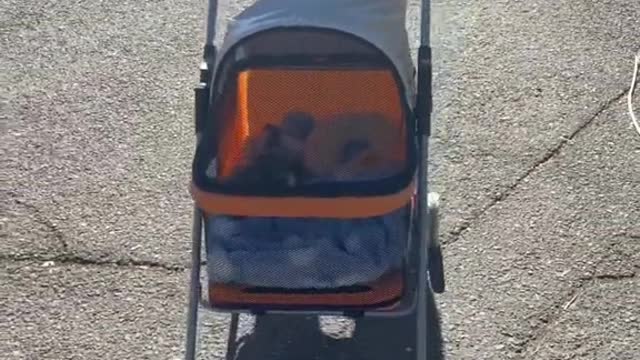 Theyseemerolling’#rescue
