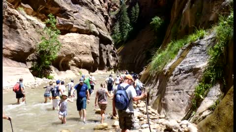 The Narrows - Zion National Park