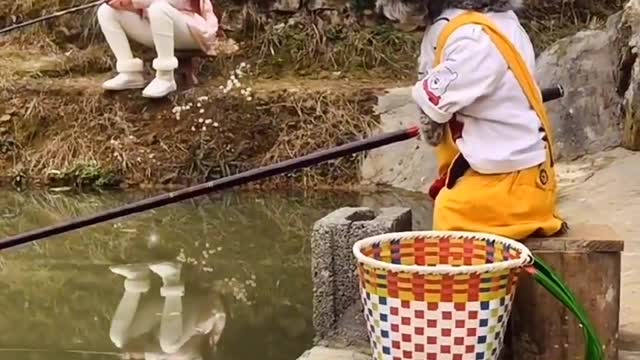 Have you ever seen a dog pulling a cart?